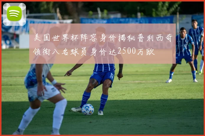 美国世界杯阵容身价揭秘普利西奇领衔八名球员身价达2500万欧